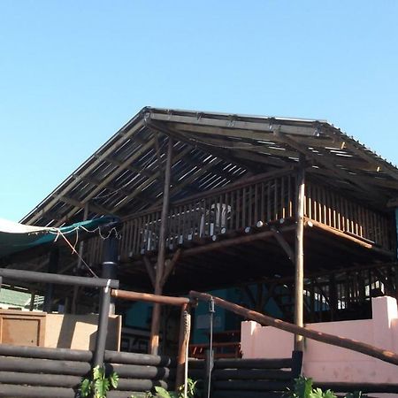 Jungle Monkey Backpackers Hostel Port Saint John's Luaran gambar