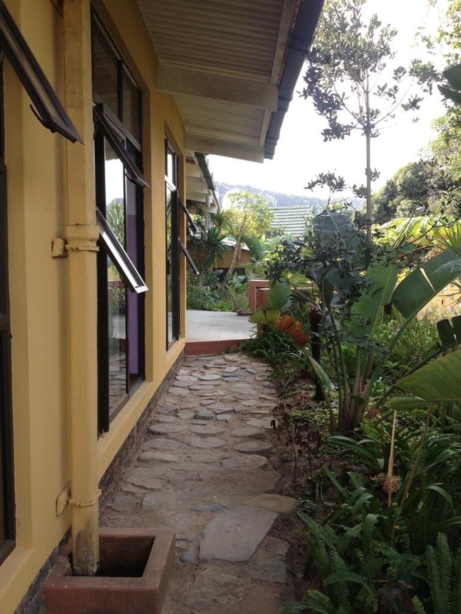 Jungle Monkey Backpackers Hostel Port Saint John's Luaran gambar