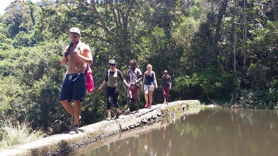 Jungle Monkey Backpackers Hostel Port Saint John's Luaran gambar