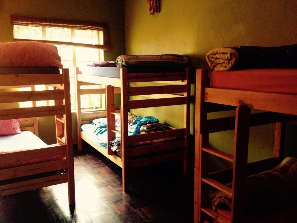 Jungle Monkey Backpackers Hostel Port Saint John's Bilik gambar