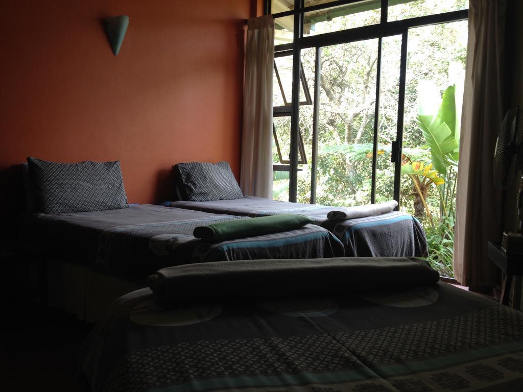 Jungle Monkey Backpackers Hostel Port Saint John's Bilik gambar