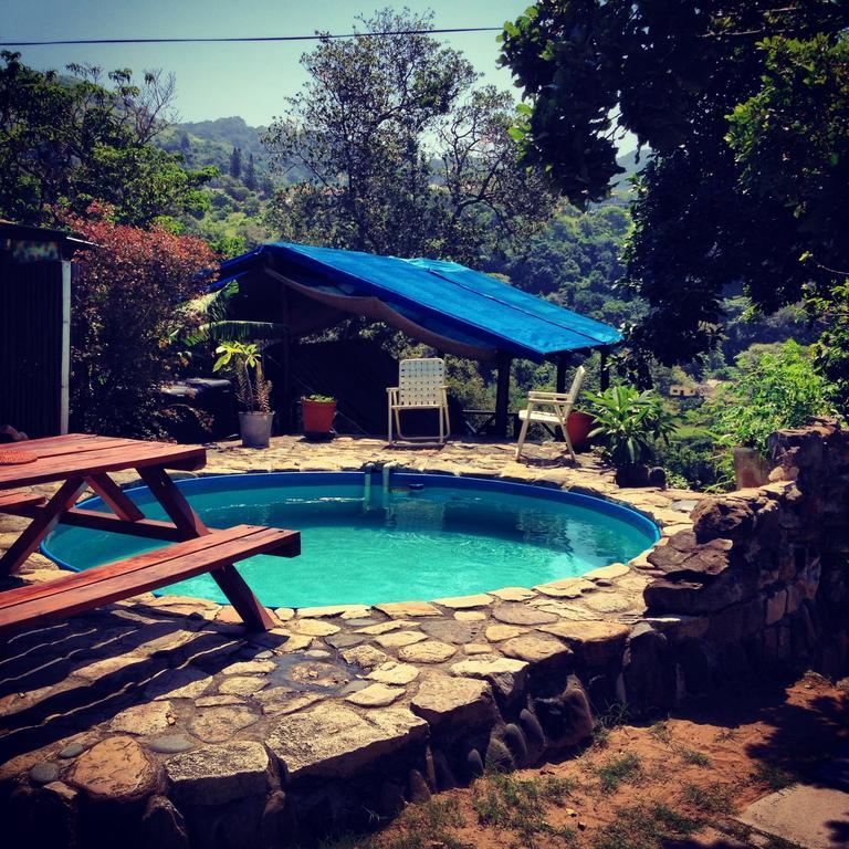Jungle Monkey Backpackers Hostel Port Saint John's Bilik gambar