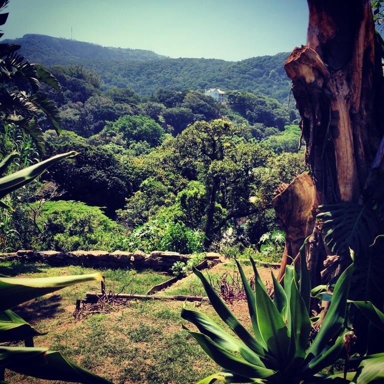 Jungle Monkey Backpackers Hostel Port Saint John's Luaran gambar