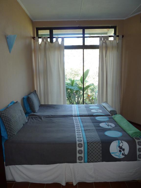 Jungle Monkey Backpackers Hostel Port Saint John's Bilik gambar
