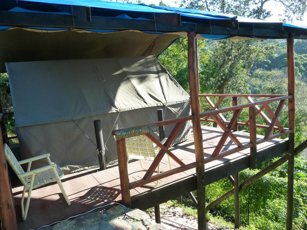 Jungle Monkey Backpackers Hostel Port Saint John's Bilik gambar