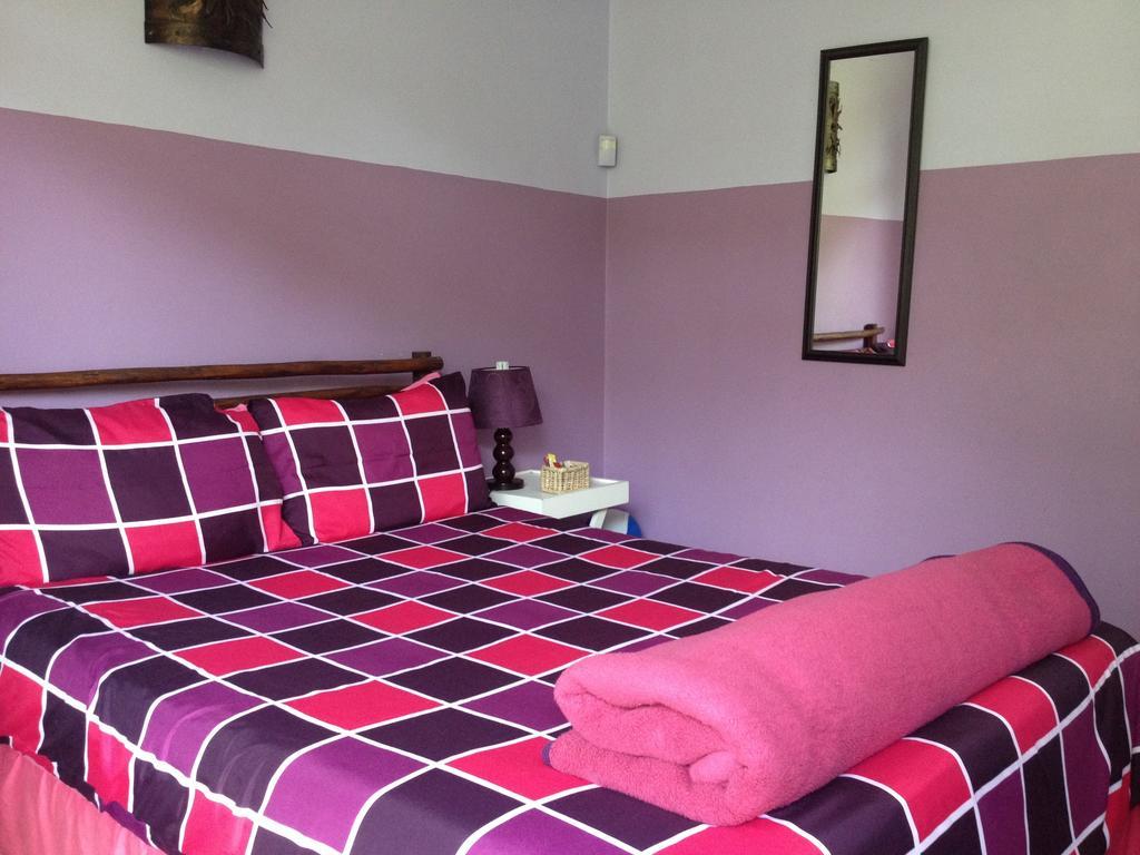 Jungle Monkey Backpackers Hostel Port Saint John's Bilik gambar