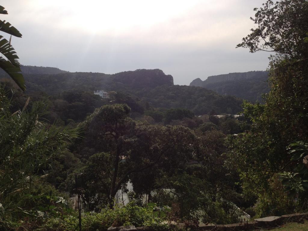 Jungle Monkey Backpackers Hostel Port Saint John's Bilik gambar